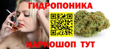 сатива Ярославль