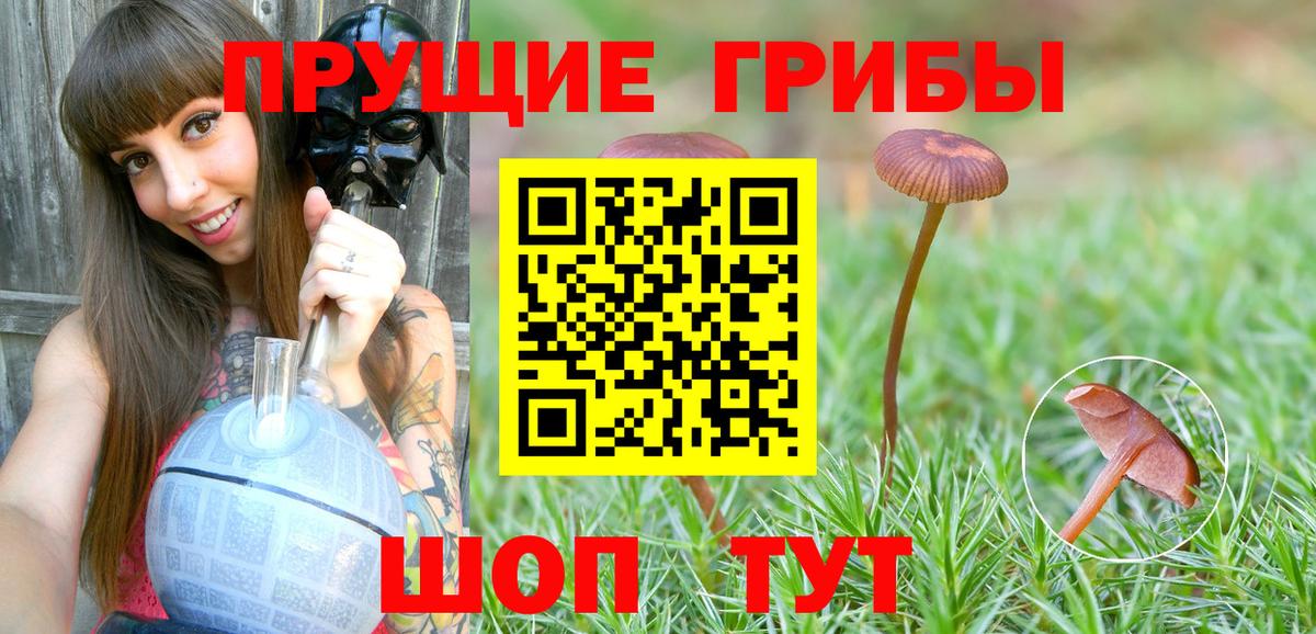 Выборг  Псилоцибиновые грибы Magic Shrooms  Галлюциногенные грибы ЛСД  Вход с VPN 