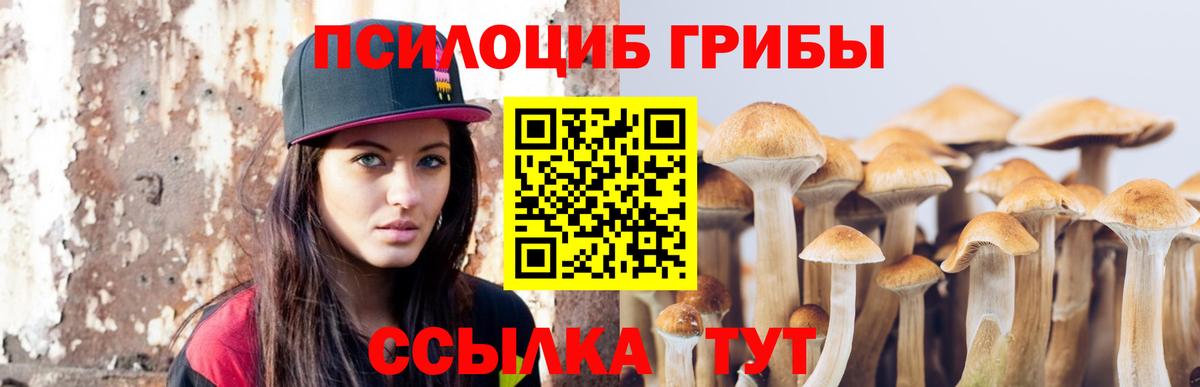 Псилоцибиновые грибы GOLDEN TEACHER Выборг
